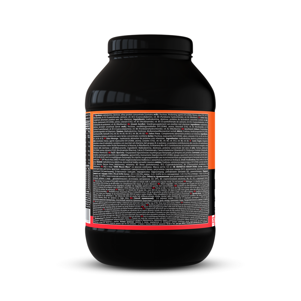 3000 Muscle Mass Gainer | 1,3 kg