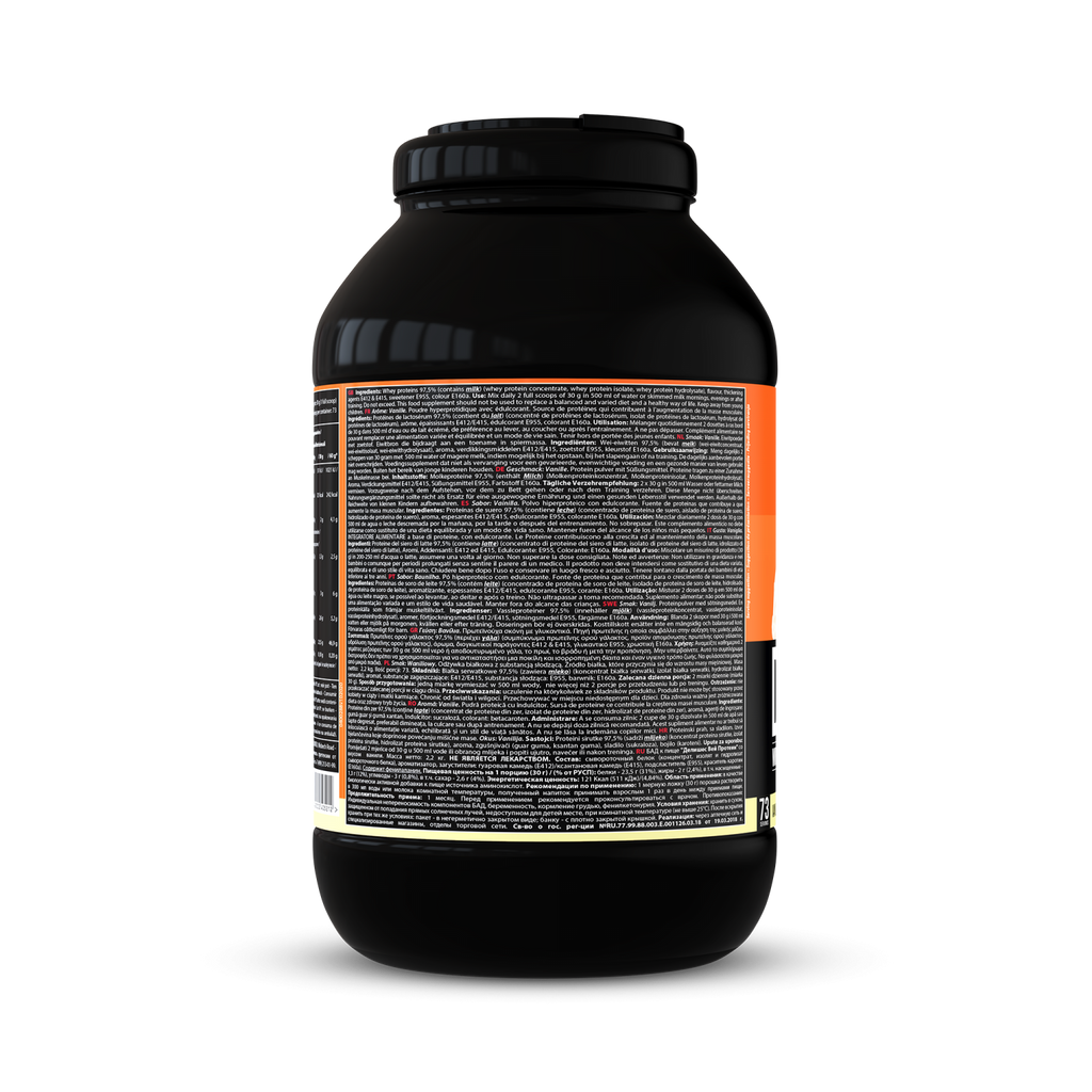 Delicious Whey Protein | 2,2 kg